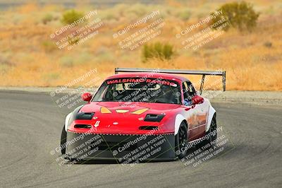 media/Sep-07-2024-Extreme Speed (Sat) [[dfc0b31d10]]/Red Group/Session 1-Turns 4 and 6/